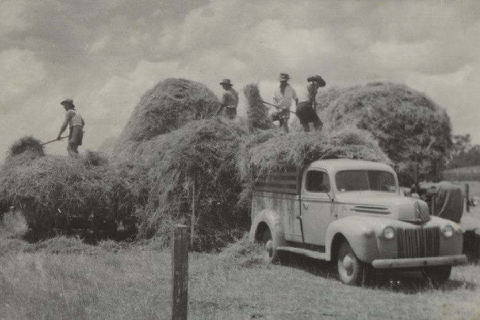 Hay Loading