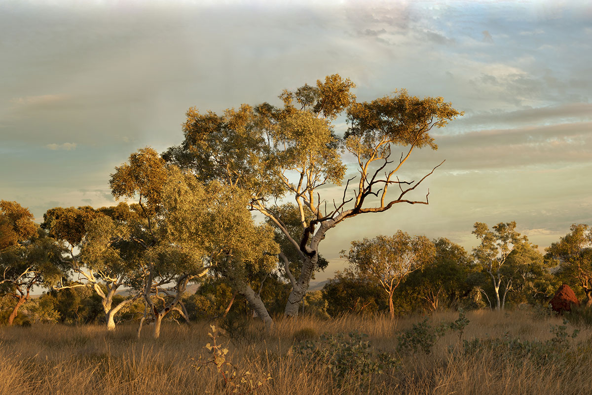 Featured image placeholder